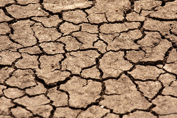 In recent year some areas of the UK have received less rainfall than the Sahara desert, according to Water UK. Photograph: Harald Van Der Winden/123RF