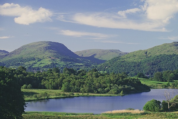 Woodland and Blelham Tarn, Cumbria.