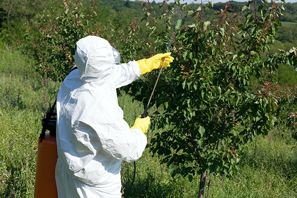 Establishing a definition for endocrine disruptors will affect the regulation of pesticides. Photograph: Macor/123RF