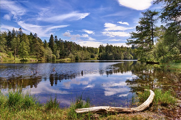 The regulator will work to landscape scale objectives. Photograph: Kevin Eaves/123RF