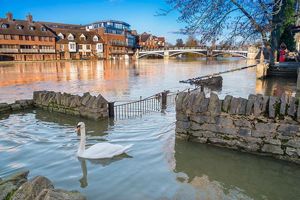 A new dedicated flood and river authority should be created, say MPs. Photograph: Lucie Lang/123RF