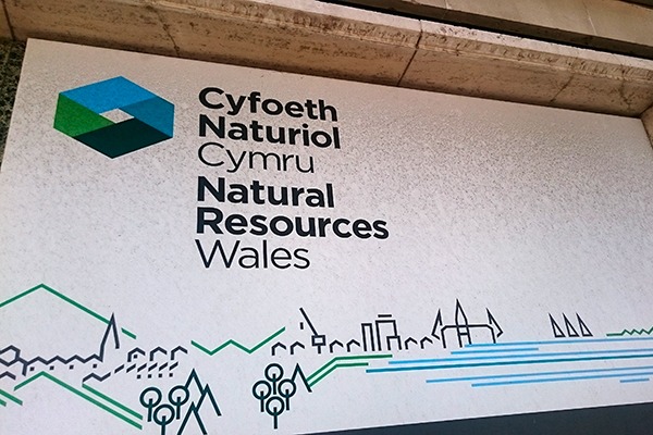 Natural Resources Wales has now been operating for over three years. Photograph: Isabella Kaminski