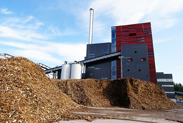 Enough sustainable feedstocks could be found for UK BECCS to remove 55mtCO2 a year from the atmosphere by 2050, says ETI. Photograph: Andrei Merkulov/123RF