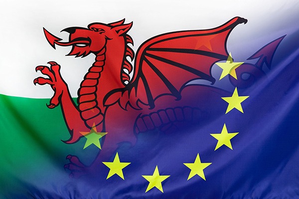 The consultation suggests Wales could be open to diverging further from the rest of the UK after leaving Brexit. Photograph: Sehenswerk/123RF