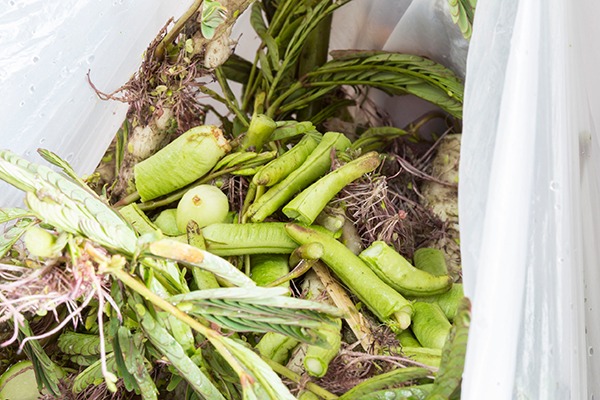 There was a 5.7% reduction in household food waste between 2009 and 2014. Photograph: Pitak Areekul/123RF