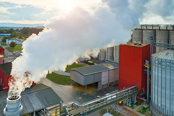 DfT is looking to shift away from dependence on crop-based biofuels towards advanced renewable transport fuels based on waste and non-biological sources. Photograph: Zych/123RF