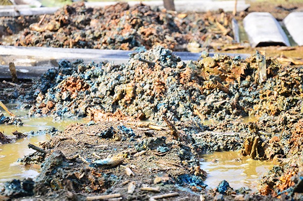 The mark should help improve the quality of developers' contaminated land reports. Photograph: Anirut Rassameesritrakool/123RF