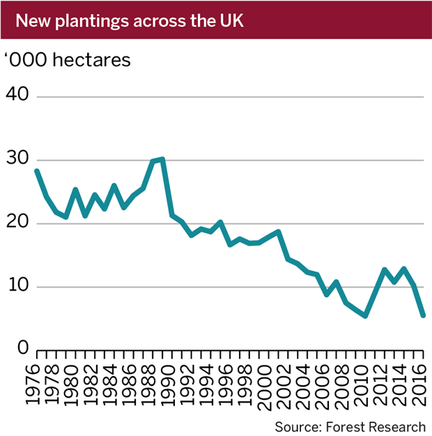 Figure: New tree plantings