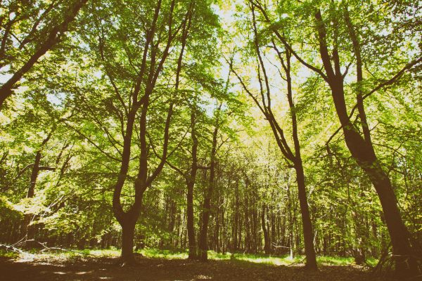 Photograph: Christopher Hall / 123RF