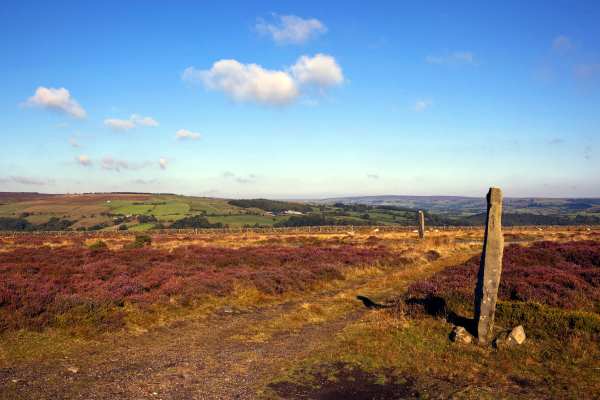 Kirby Misperton is close to the edge of the moors. Photograph: Michael Smith / 123RF