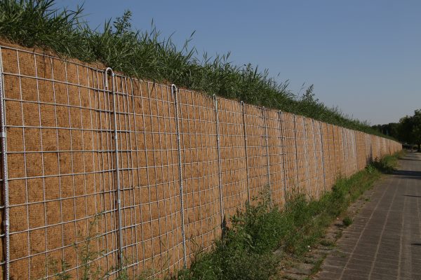 Noise barriers such as these can make living near major roads more comfortable. Photograph: Matthias Wolf / 123RF