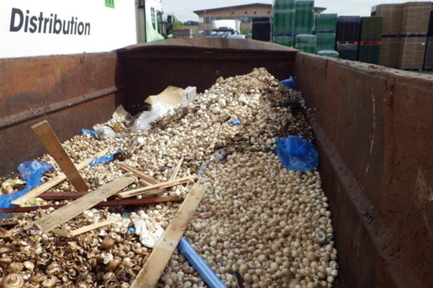 Mushrooms in a skip at Walsh Mushrooms site in Evesham. Photo: Environment Agency