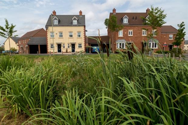 Sustainable drainage alongside new houses. Photo: WWT