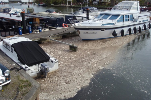 Thames Water discharged untreated sewage into various sites in the River Thames between 2012 and 2014. Photograph: Environment Agency