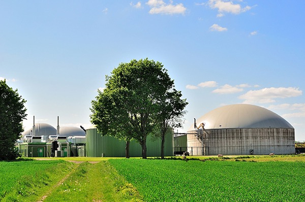 Products-only biogas producers could face 50% cut in tariffs. Photograph: Karol Sobolewski/123RF