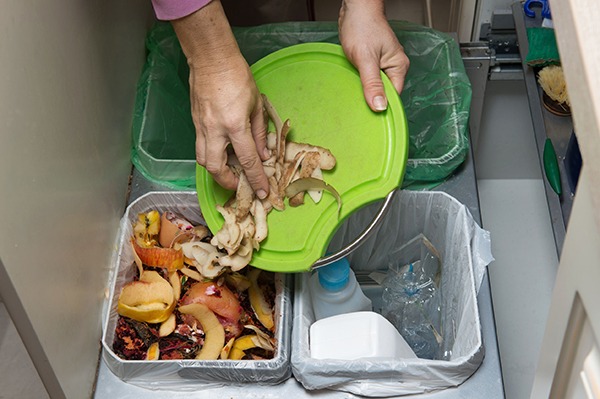 Is mandating separate collection the right way of boosting recycling? Photograph: Kaliantye/123RF
