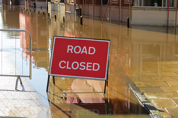A National Infrastructure Resilience Council could be set up to manage interdependency risks. Photograph: Ronfromyork/123RF