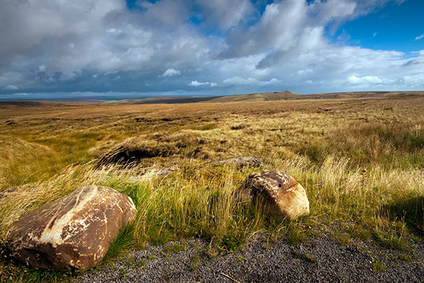 Peatlands make up 11% of England's landscape. Photograph: Shahid Khan/123RF