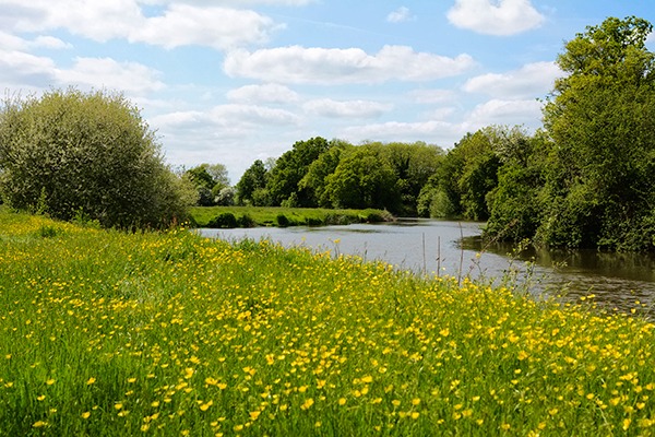 The River Medway. Photograph: Sarah Marchant/123RF