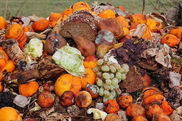 Domestic food waste across UK is on the rise. Photograph: Astrid Gast