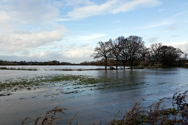 Altered floodplains lead to higher flood risk. Photograph: 123RF