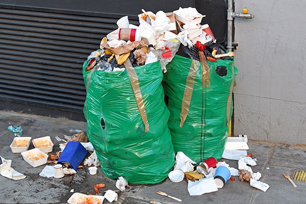 The platform includes Zero Waste Scotland’s research on scale, impact and attitudes to littering. Photograph: Baloncici/123RF