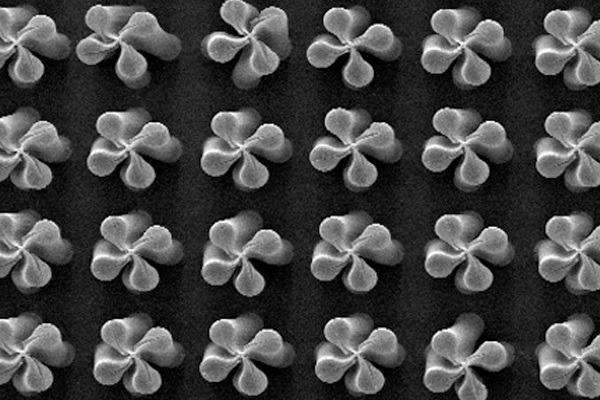 Nanomaterials, such as these engineered carbon nanotubes, have many applications, although concern is rising about their use. Photograph: Michael de Volder slash Cambridge University CC BY-SA 2.0