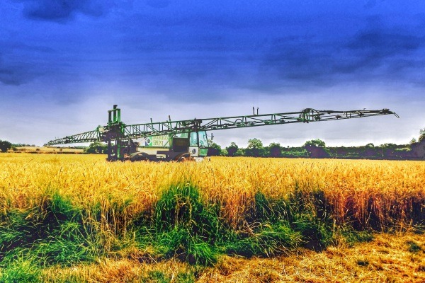 Controversy over the world's most-used weedkiller has raged for years. Photograph: David Martyn Hughes/123RF
