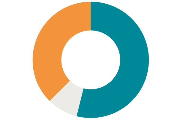 infographic icon