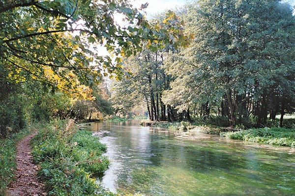 The river Itchen. Photograph: Leimenide/Flickr