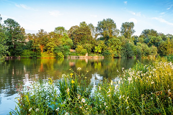 EU water quality rules will be transferred across under the 'Great Repeal Bill'. Photograph: Andrei Nekrassov/123RF