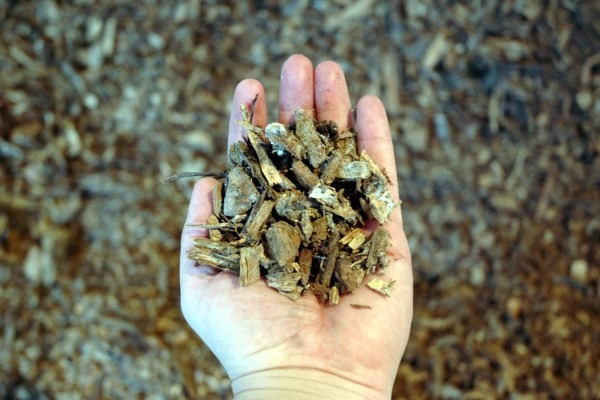 Wood chips