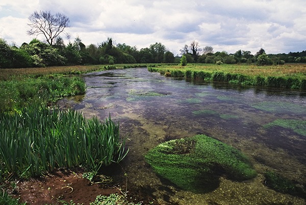 The River Test. Photograph: Natural England