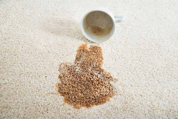 PFHxS is used to make carpets stain-resistant, although its consumption within the EU is minimal. Photograph: Andriy Popov/123RF
