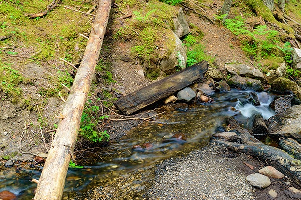 More than 1.2 km of the river was affected. Photograph (not of Nant Fach) : Ingemar Magnusson/123RF