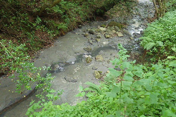 The company was also ordered to pay £28,078 in legal costs. Photograph: Environment Agency