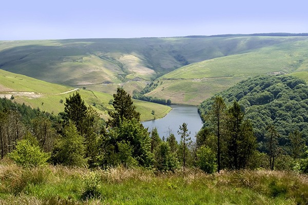 Environmental law could be vulnerable and 'unowned'. Photograph: David Martin Hughes/123RF