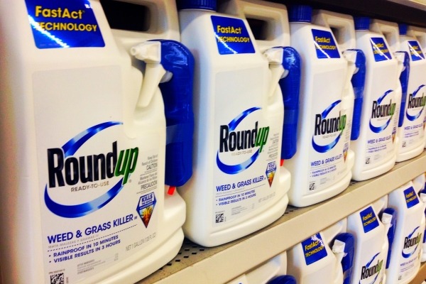 Whether glyphosate, the active ingredient of Roundup, is a carcinogen or not is hotly disputed. Photograph: Mike Mozart CC BY-SA 2.0
