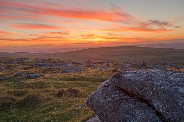 Dartmoor is home to a number of SSSIs. Photograph: Anna Curnow/123RF