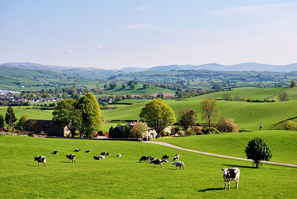 Soils provide ecosystem services that can be captured and valued. Photograph: Kevin Eaves/123RF