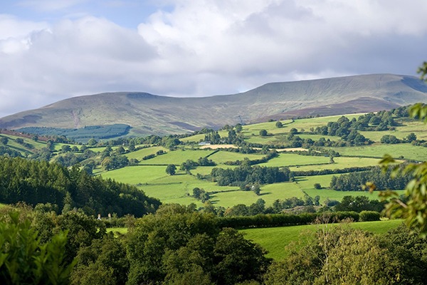 The Glastir scheme is leading to environmental improvements. Photograph: David Martyn Hughes/123RF