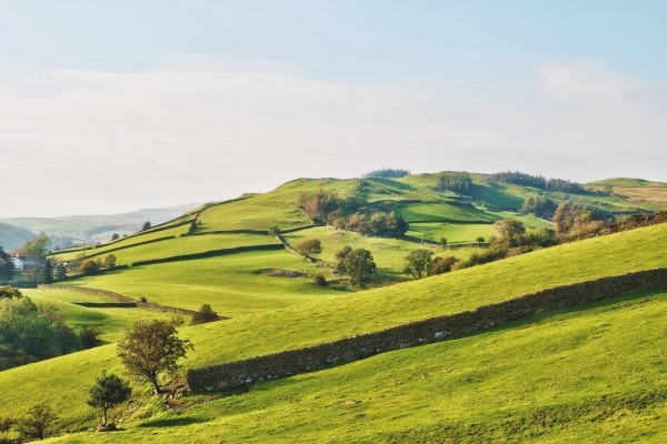Brexit could put farm biodiversity at risk, according to nature regulators. Photograph: Kevin Eaves/123RF