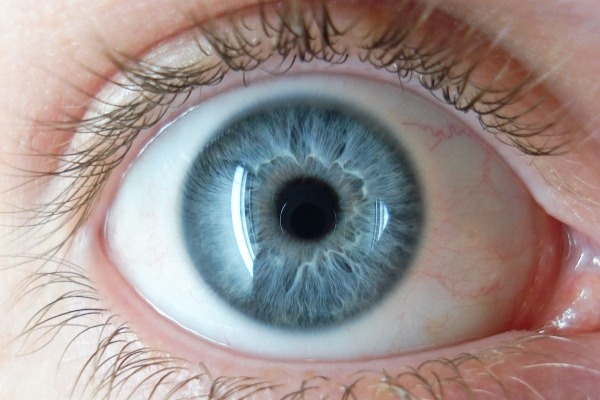 Household dust containing TDCPP could damage the cornea, research suggests. Photograph: 8thstar GFDL