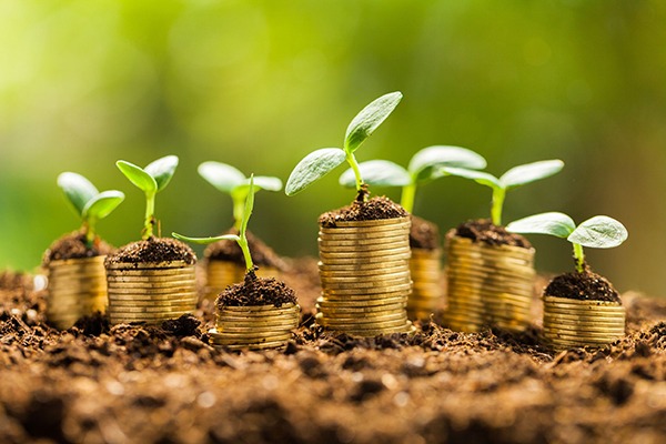 How green are your standards? Photograph: 123RF