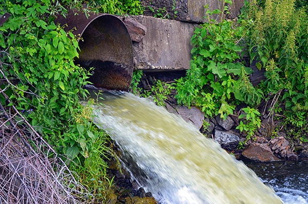 Wastewater is a major contributor to poor river water quality, according to WWF. Photograph: Alisluch/123RF