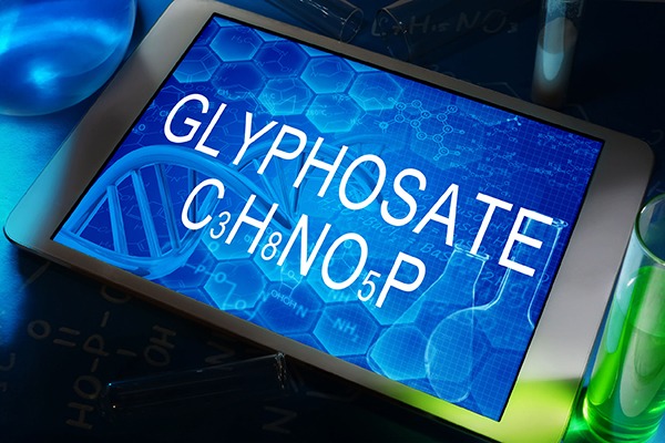 European Parliament vote to ban glyphosate is not binding. Photograph: Vitaliy Vodolazskyy/123RF