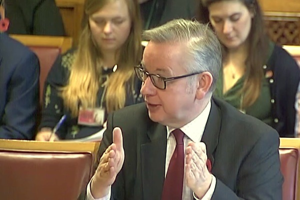 Michael Gove appearing before the Lords EU Energy and Environment Sub-Committee Photograph: Parliament TV