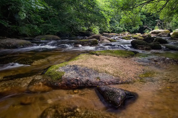 East Dartmoor nature reserve piloted the approach. Photograph: daniyaros/123RF