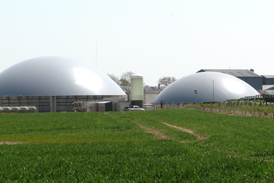 The GGCS is managed by the REA. Photograph: Evelyn Simak/geograph.org.uk