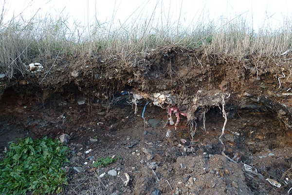 Erosion of solid waste materials from East Tilbury landfill in the Thames Estuary. Photograph: Dr James H Brand/Queen Mary University of London